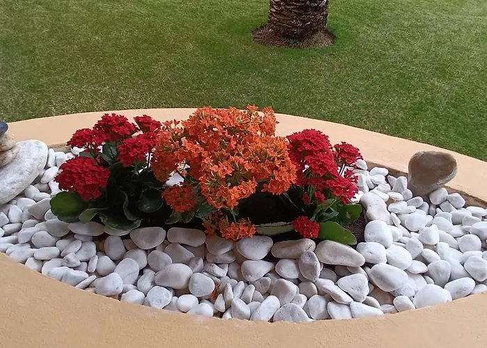 Acogedor Vistas Piscina Y Teide Lägenhet